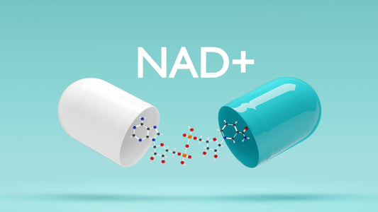 Transformative Journeys: Real-Life Success with Peptide Therapy